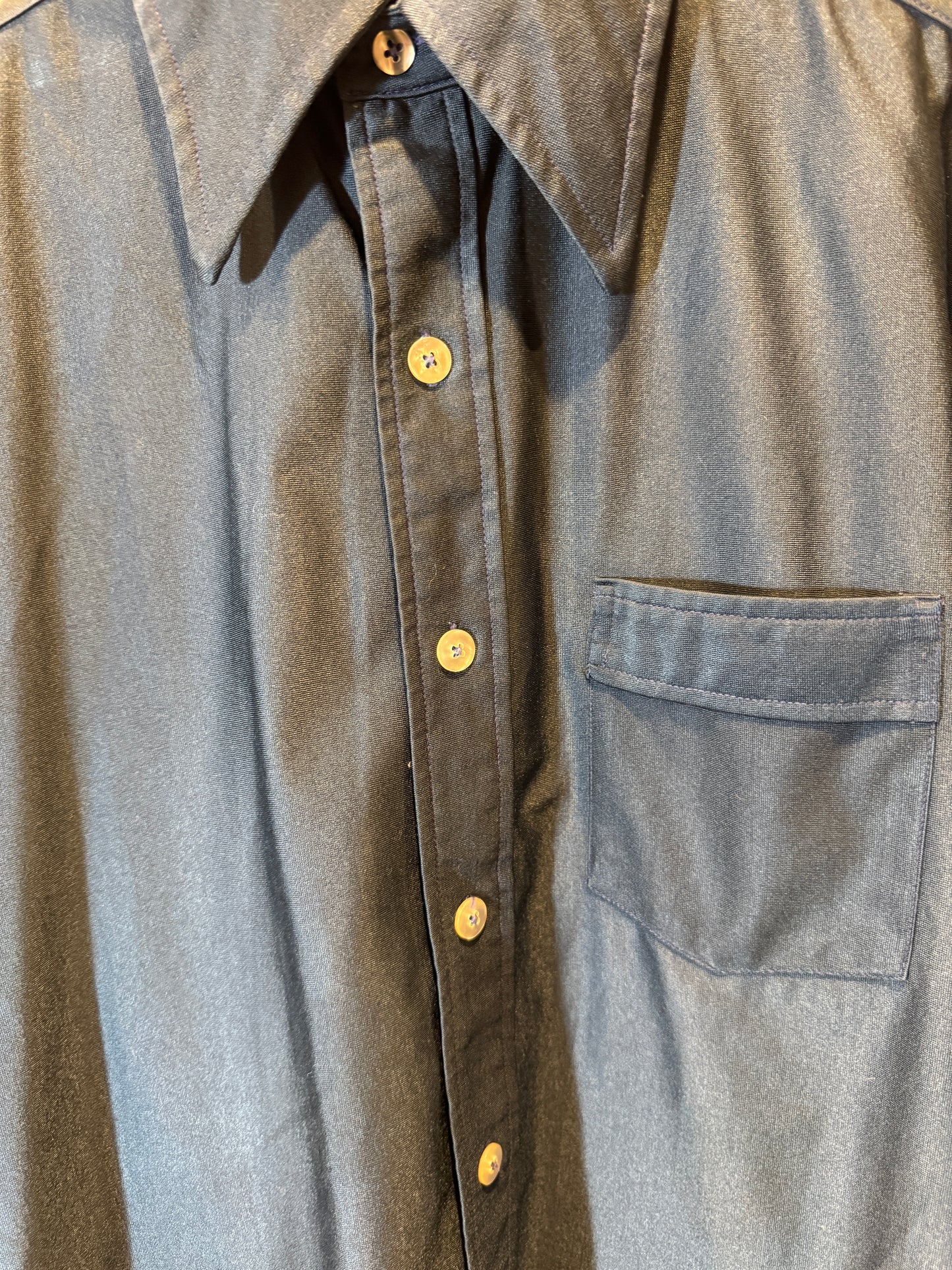 Leonardo Strassi Blue Room Button-Up
