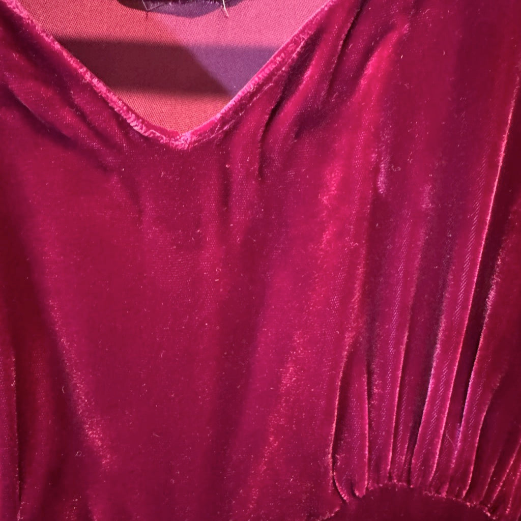 Cabaret Velvet Gown