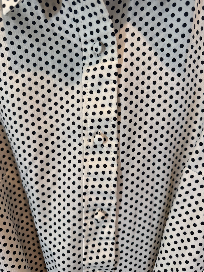 Lanvin Passport Dress