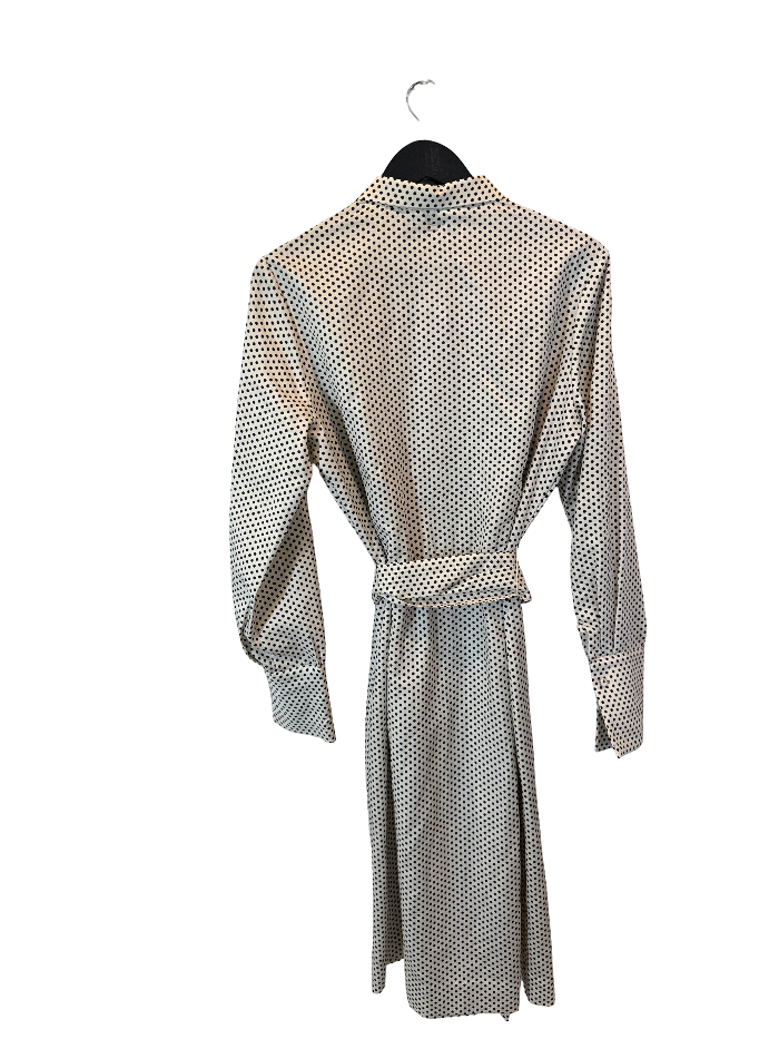 Lanvin Passport Dress